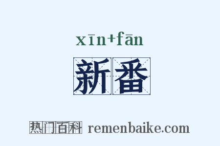 新番是什么意思的图片